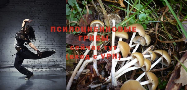 ГАЛЛЮЦИНОГЕННЫЕ ГРИБЫ Богородицк