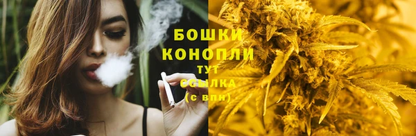 соль курить ск Белокуриха