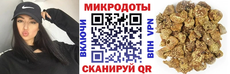 Галлюциногенные грибы Psilocybe  Купить  Вязьма 